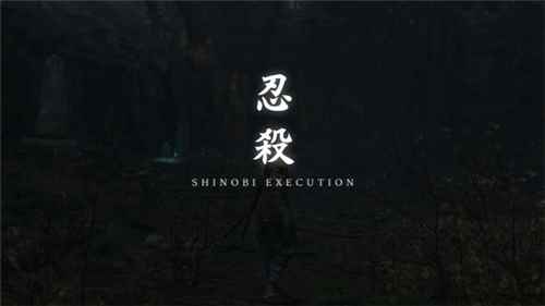 只狼怎么做到完美防御?[多图]_只狼怎么攻击