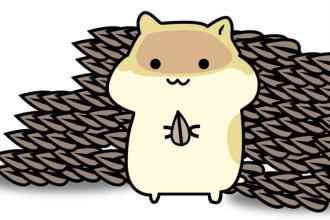 松鼠打不过仓鼠道歉[多图]