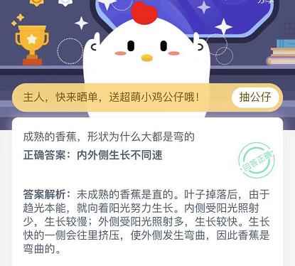 成熟的香蕉形状为什么大都是弯的？蚂蚁庄园11月22日答案大全[多图]