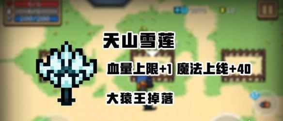 元气骑士曼珠沙华天山雪莲黄金蘑菇介绍