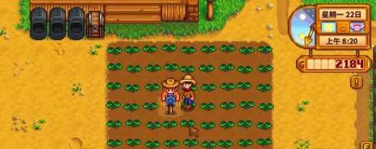 《星露谷物语》新手开局简易高效种田布局推荐