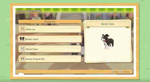 NS《牧场物语:橄榄镇与希望的大地》新宣传片_牧场物语起源的大地银怎么得