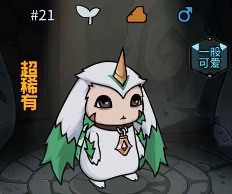 提灯与地下城宠物篇,一起战斗的好伙伴