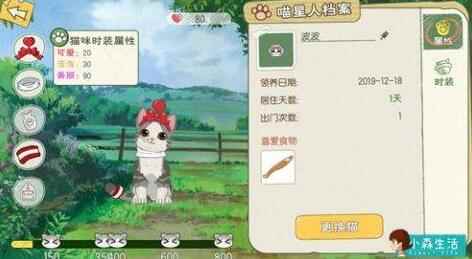 小森生活猫咪服装在哪里兑换获得_小森429