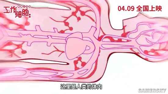 《工作细胞:细胞大作战》内地定档 高萌高燃来袭