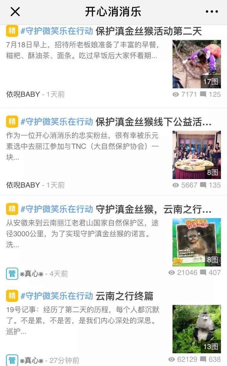 乐元素带着三名《开心消消乐》玩家走进了云南的原始森林_一起开心消消乐