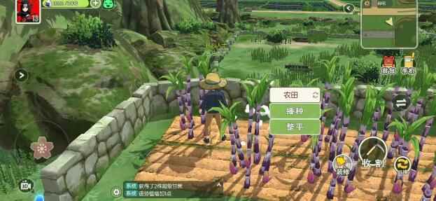 《小森生活》赤色羽毛怎么获得_小森生活金鸡怎么抓