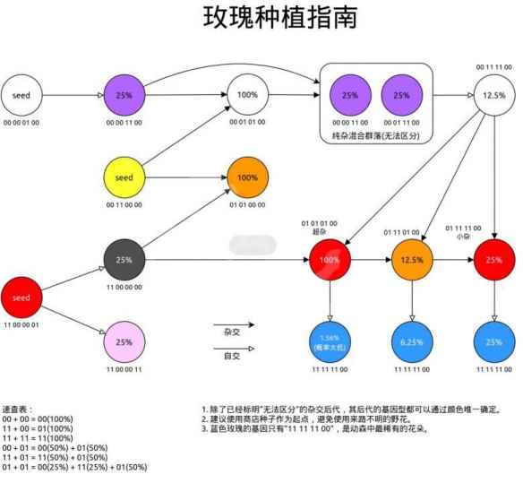 《集合啦动物森友会》蓝玫瑰杂交方法