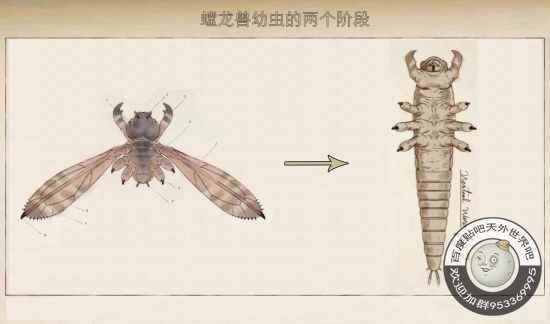 《天外世界》翡翠鸟星系生物螳龙兽详解