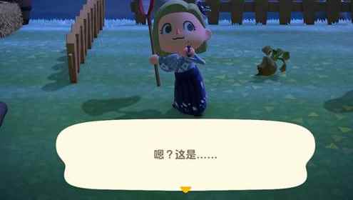 集合啦动物森友会蚂蚁怎么抓_集合啦动物森友会好玩吗