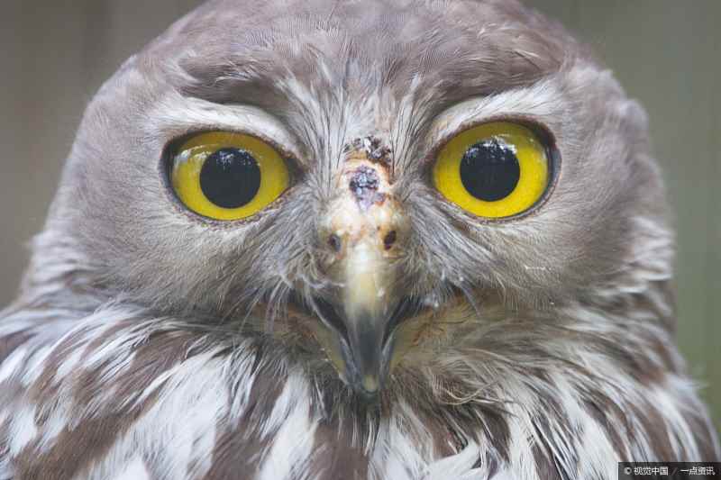 开心消消乐中，隐藏的3条人生哲理，你发现了吗？