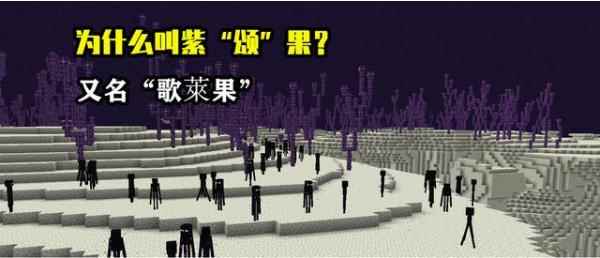 我的世界：关于紫颂果的13个小秘密，竟然是末影人最爱的食物？