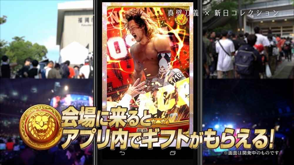 收集摔角手卡片_全部卡片