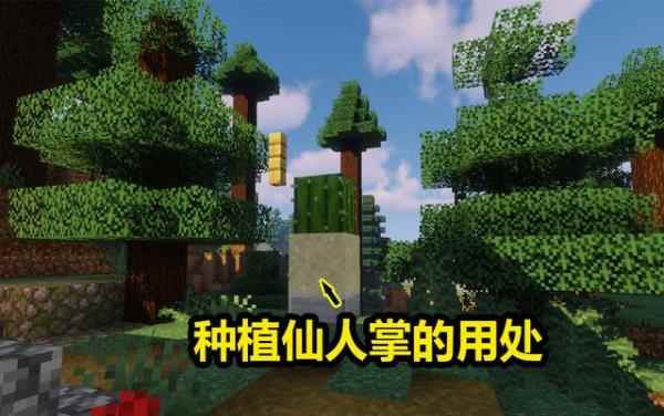 我的世界:MC关于仙人掌的4种用途_仙人掌有什么用处有什么功能