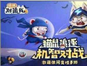 猫咪别追我怎么升级 快速升级方法详解