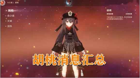 原神:新五星长枪角色“胡桃”全方位总结_长枪武器的职业