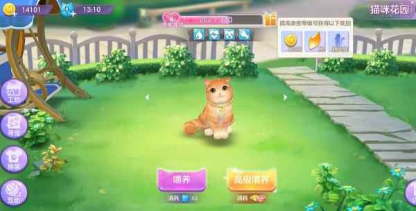 「攻略」《喵与筑》金币获取途径一览_喵与筑下载