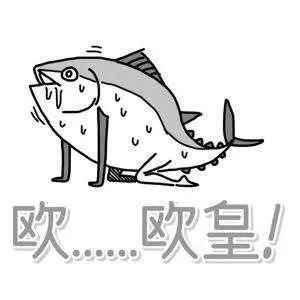 《云梦四时歌》被指抄袭_云梦四时歌更新不了