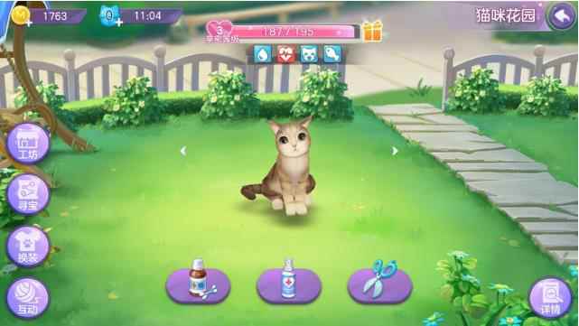 萌新铲屎官攻略!《喵与筑》猫咪花园养成指南_喵与筑45关