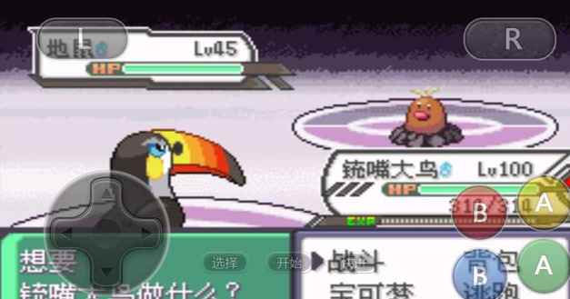 口袋妖怪：家门鸟犹如御三家？