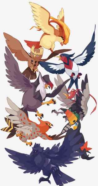 口袋妖怪：家门鸟犹如御三家？