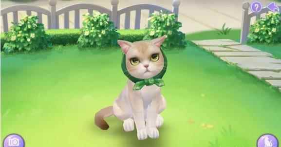 盘点《喵与筑》中让人难以拒绝的猫咪_喵与筑内购