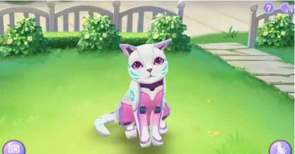 盘点《喵与筑》中让人难以拒绝的猫咪_喵与筑内购