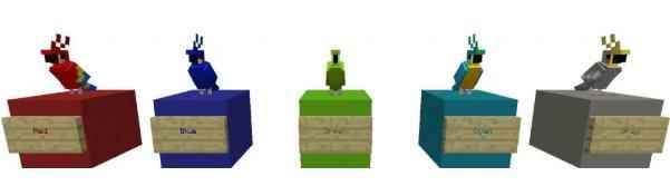 我的世界:鹦鹉到底能不能吃曲奇?这些鹦鹉的秘密你知道吗?_我的世界给鹦鹉加血