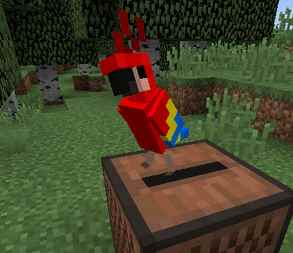 我的世界:鹦鹉到底能不能吃曲奇?这些鹦鹉的秘密你知道吗?_我的世界给鹦鹉加血