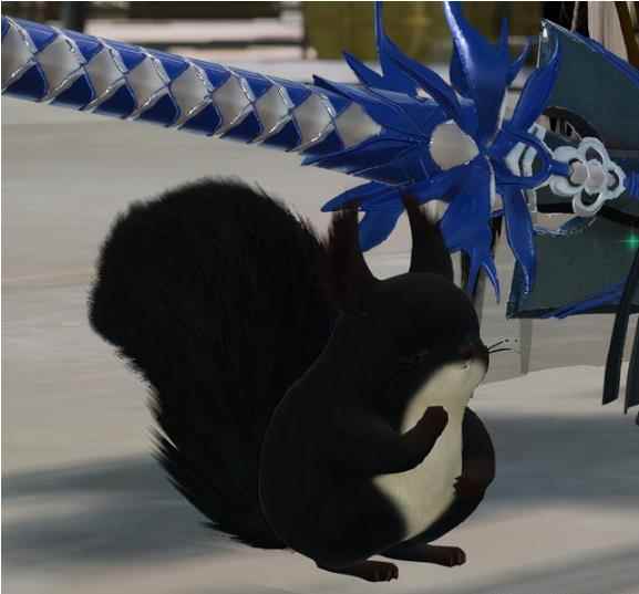 剑网3新挂宠松鼠的魅力有多大?_松鼠的样子