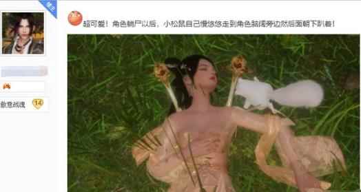 剑网3新挂宠松鼠的魅力有多大?_松鼠的样子