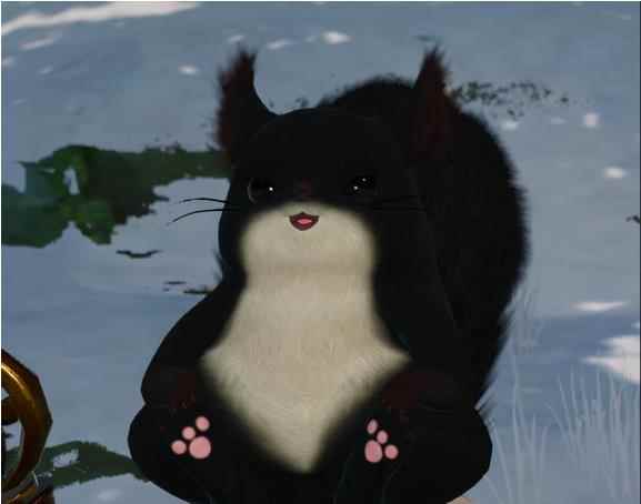 剑网3新挂宠松鼠的魅力有多大?_松鼠的样子