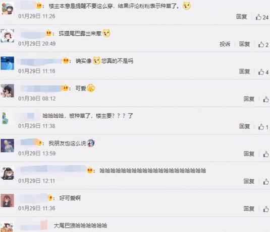 剑网3新挂宠松鼠的魅力有多大?_松鼠的样子