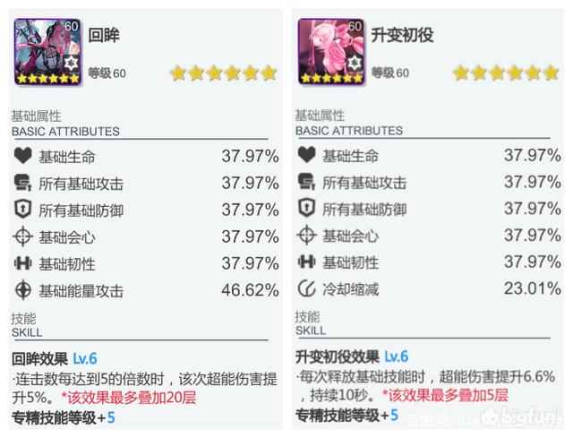 空匣人型角色解析_海贼王维奥拉