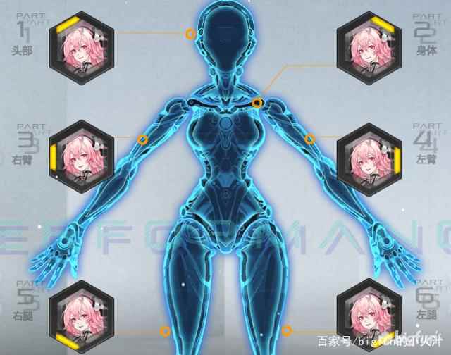 空匣人型角色解析_海贼王维奥拉