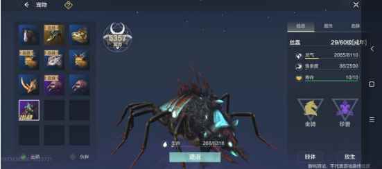 《妄想山海》新手用什么宠物比较好 新手宠物攻略