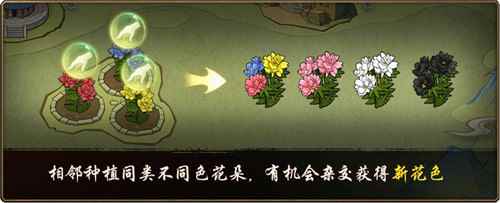 花开时节动京城《神都夜行录》全新SSR妖灵洛神踏浪而来！