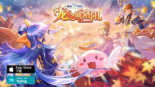 仙境传说RO手游x熊本熊的联动周边放送!_阴阳师熊本熊联动宠物