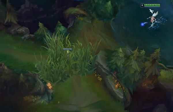 英雄联盟从春季赛延伸出视野重要性详解_开拓国际视野的重要性