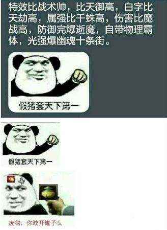 假猪套天下第一是什么梗_地下城的梗