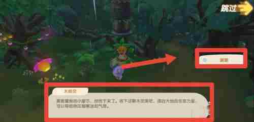 摩尔庄园木灵珠获得攻略：摩尔庄园木灵珠在哪？[多图]