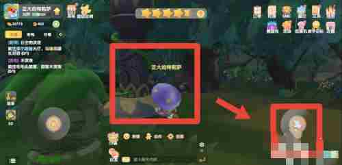 摩尔庄园木灵珠获得攻略：摩尔庄园木灵珠在哪？[多图]