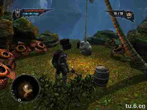 霸王2:永恒之光森林寻找十小鬼攻略