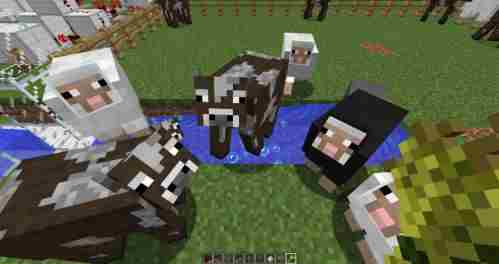 我的世界自动烤肉机怎么做