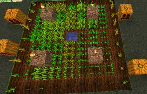 我的世界新手教程简易农场搭建与全农作物详细介绍