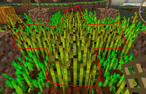 我的世界新手教程简易农场搭建与全农作物详细介绍