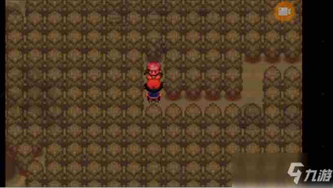 究极绿宝石破坏因子在哪里