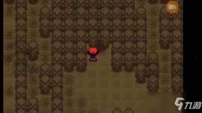 究极绿宝石破坏因子在哪里