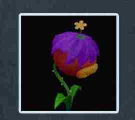 摩尔庄园手游黑森林魔法生物有什么用？