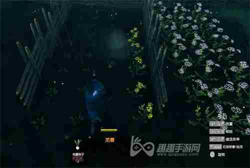 英灵神殿怎么种地得到的种子怎么种植